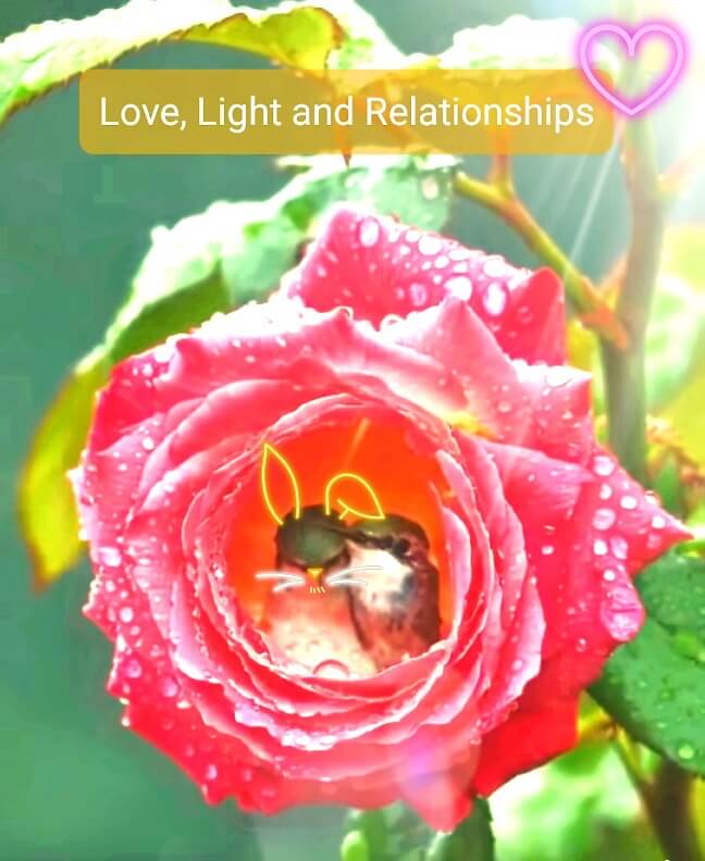 Great awakening blog post how to blossom in relationship